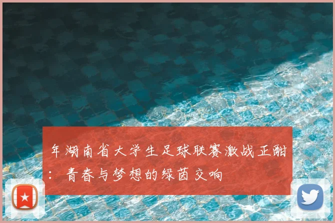 年湖南省大学生足球联赛激战正酣：青春与梦想的绿茵交响
