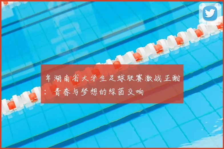 年湖南省大学生足球联赛激战正酣：青春与梦想的绿茵交响